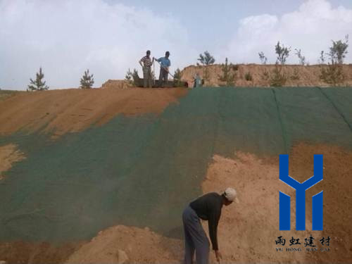 三維植被網(wǎng)http://mypolo.cn/