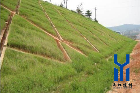 三維植被網(wǎng)http://mypolo.cn/